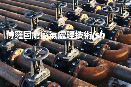 博羅固廢廢氣處理技術(shù)，到底有多厲害？